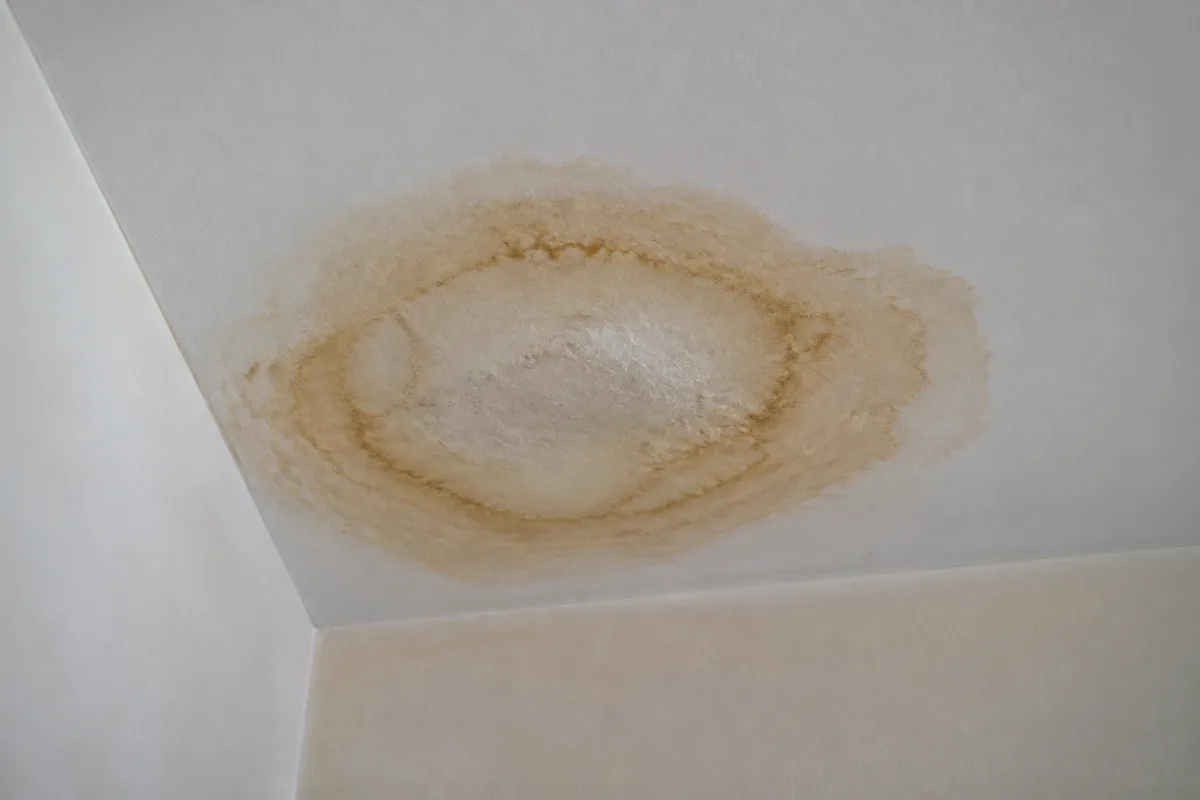 Auréole d’humidité brune sur un plafond blanc dans une pièce vide