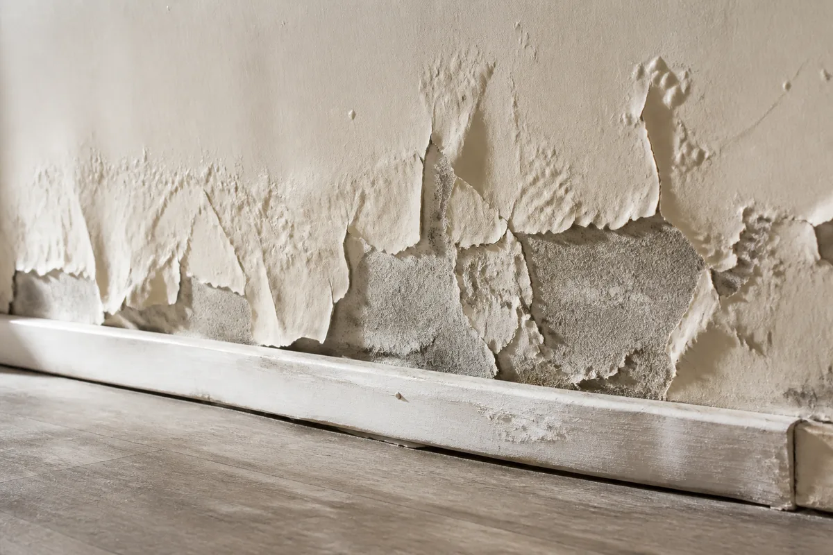 Peinture qui cloque et se décolle sur un mur clair d’un appartement vide